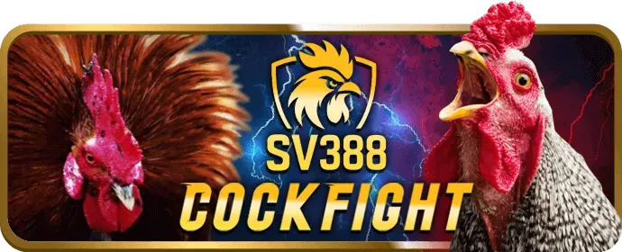 Hoàn trả hàng ngày VN666
